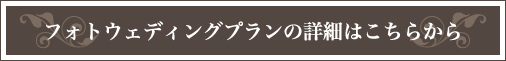 フォトウェディングプランの詳細はこちらから